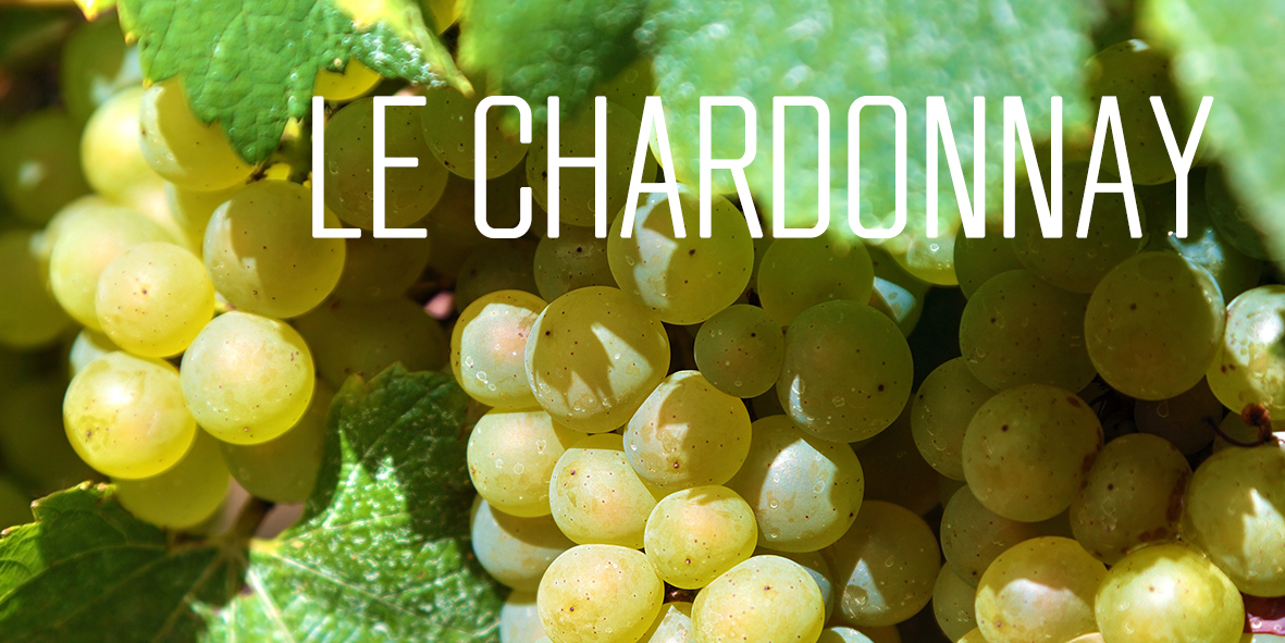 21-01-06-chardonnay-2