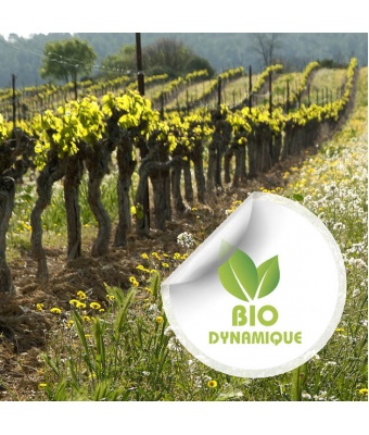 vin-biodynamique_1320329724