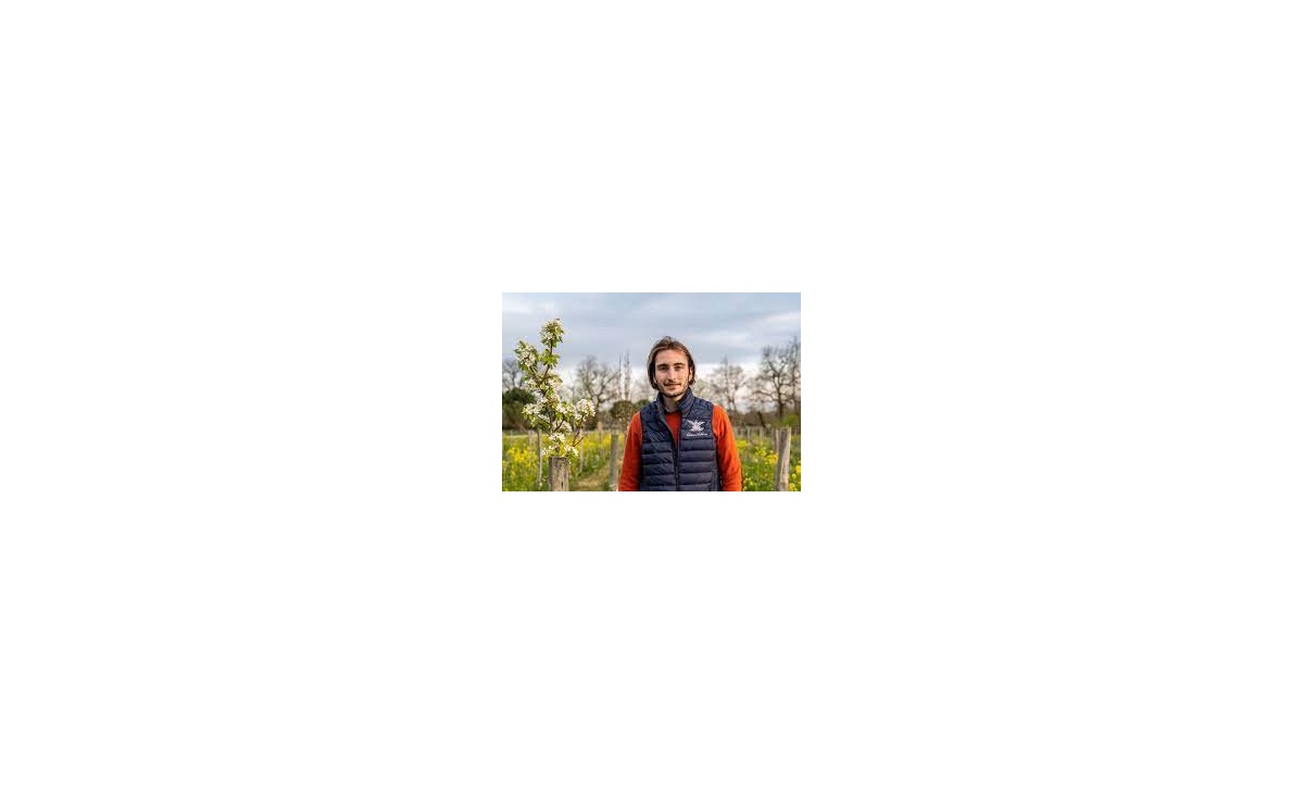 chteau_anthonic