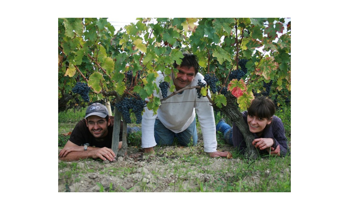 domaine-de-la-chevalerie-3-2