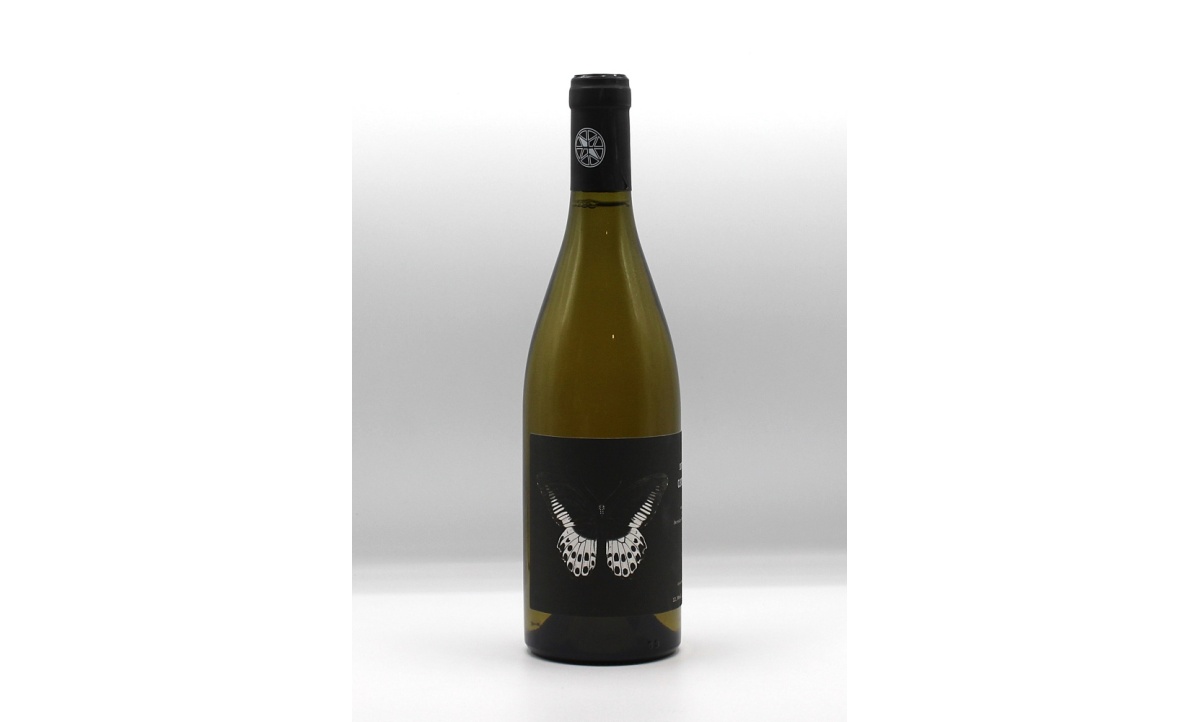 ledogar_carignan_blanc