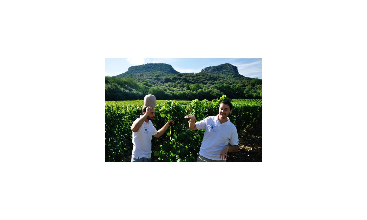 les_frre_sollier