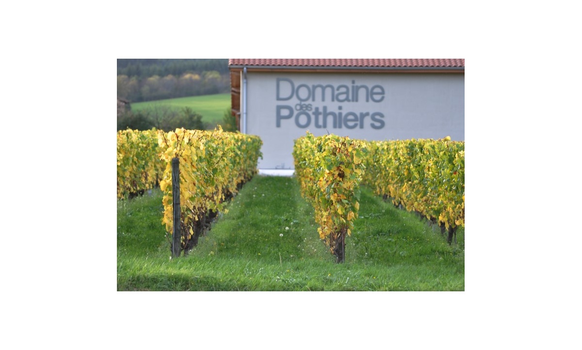pothiers_979402619