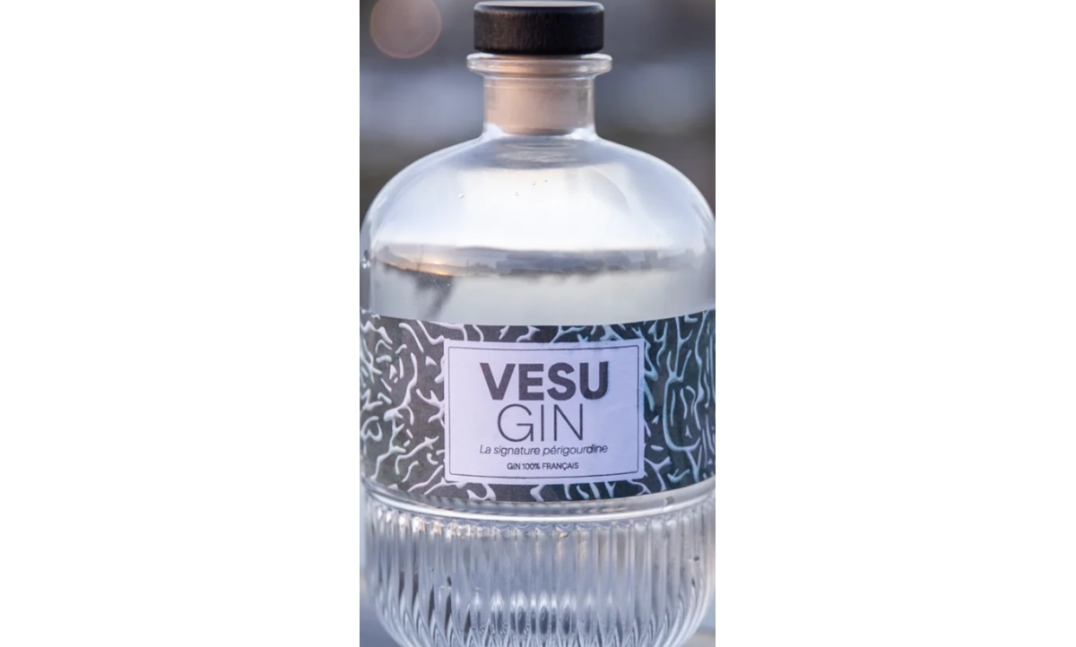 vesu_gin