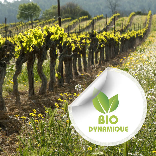 vin-biodynamique_1320329724