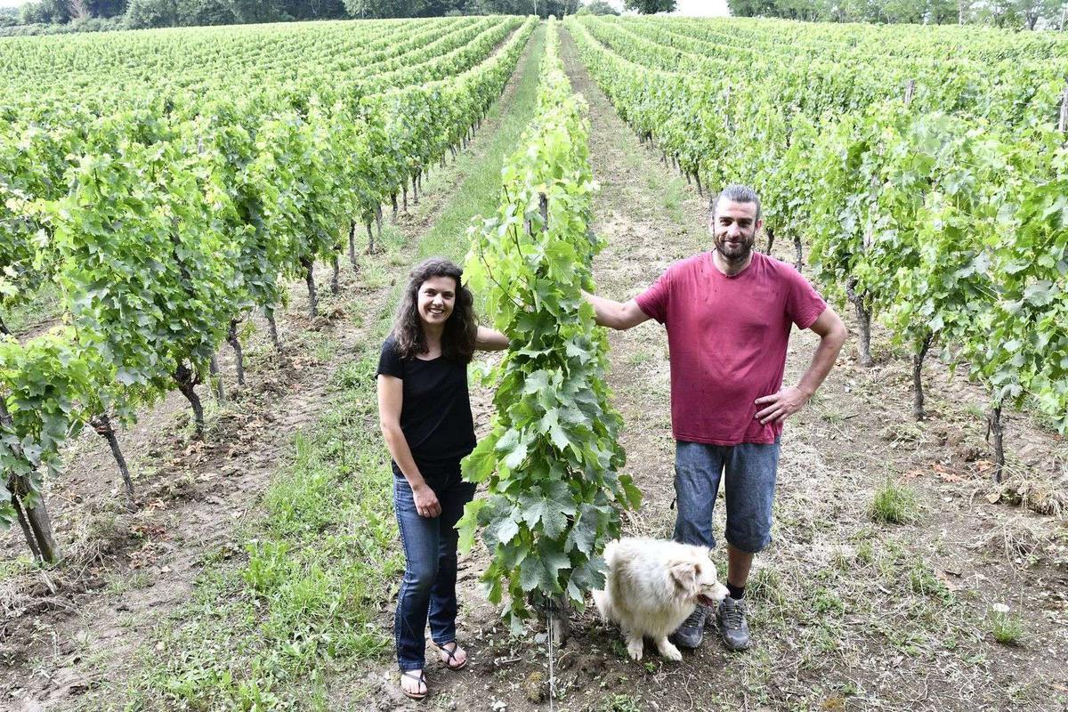 {Le Chai Bordin} {Caviste et bar à vins à Périgueux}